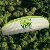 Le grand saut avec le gaz vert