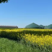 Usine Moulinot