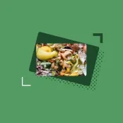 Visuel de l'article Grand Angle numéro 1 sur les biodéchets.