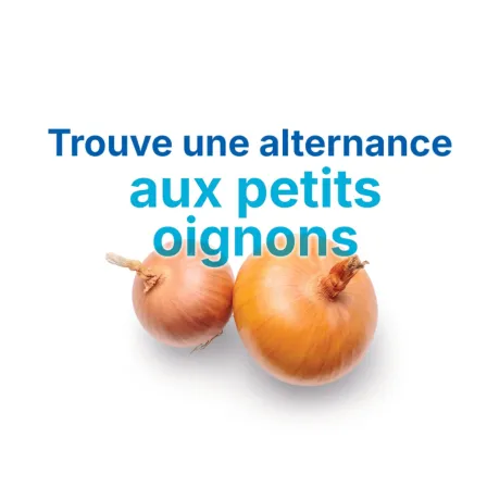 visuel oignon "trouve une alternance aux petits oignons" de la campagne alternance de GRDF et QR code qui redirigie vers les offres d'alternance