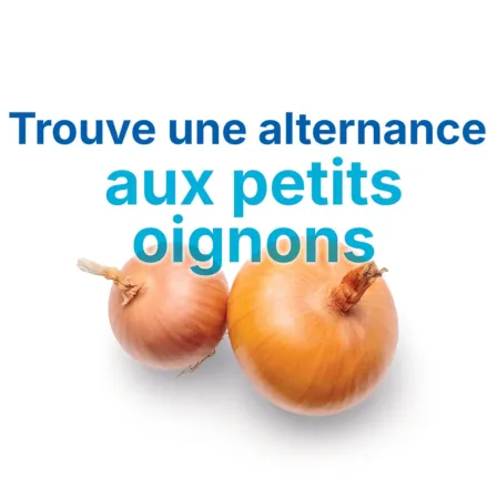 camapgne