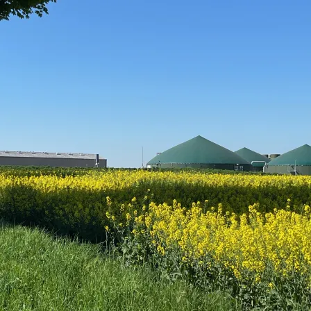 Usine Moulinot