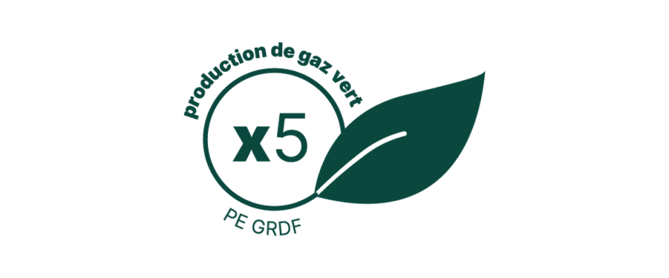 Logo du pilier 1 du PE.