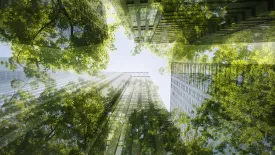 Immeubles et arbres.